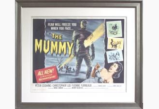 Framing Movie Posters 5